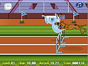Game Scooby Doo Hurdle Race